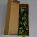 4 Pcs Artificial Ficus Branches Faux Eucalyptus Stems, 47.2 Inch Fake Greenery Stems Artificial Plants for Vase Filler Decoration, Fake Leaves Branches Centerpieces Decor