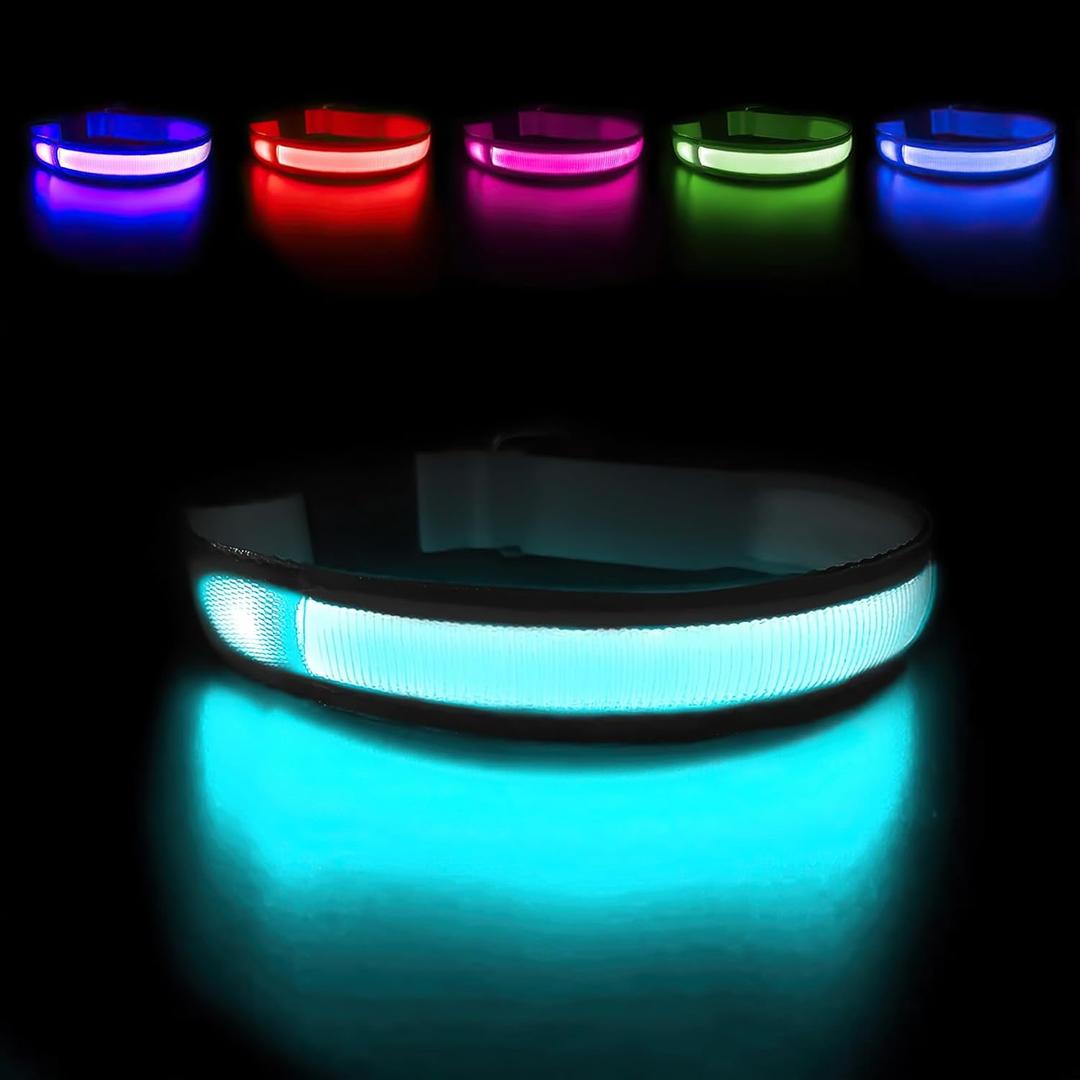 MASBRILL Light Up Dog Collars - LED Dog Collar Rechargeable Lighted Dog Collars for Night Resistant-Water Glow Dog Collar