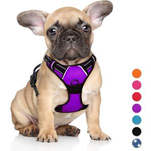 BARKBAY No Pull Dog Harness Large Step in Reflective Dog Harness with Front Clip and Easy Control Handle for Walking Training Running(Purple,S)