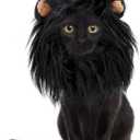 Onmygogo Lion Mane Wig for Cats and Dogs, Funny Pet Cat Costumes for Halloween Christmas, Furry Pet Clothing Accessories
