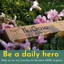 100% Compostable Plastic Wrap Dispenser With Cutter - Ikigaia - PLA/PBAT Cling Wrap With Slide Cutter - 11.8" x 328 feet - XL For Less Delivery - Extra Thick Saran Wrap Dispenser - Food Wrap