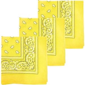 2 x 22"X22" 100% Cotton Paisley Printed Bandanas Large Thick Scarfs Fashion Headwear for Men and Women