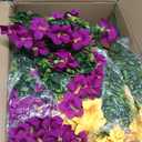 2 Set Artificial Outdoor Flowers with Hanging Baskets,24 Pcs UV Resistant Faux Petunias Flowers with Hanging Planter for Front Door Porch Spring Outside Decor (2, White,Yellow,Purple,RedViolet)