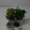 ALAGIRLS 4 Packs Fake Plants Small Artificial Plants Indoor Eucalyptus Rosemary Succulents Plants Potted Faux Plants for Home Indoor Office Bathroom Living Room Decor