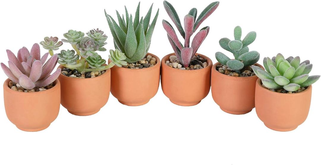 Nubry Mini Fake Plants in Terrine Pots Artificial Small Succulents Potted Faux Assorted Lifelike Plants for Home Office Desk Decor, Set of 6 (Orange Terracotta Pots)