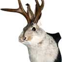HSOSK Jackalope Mount, Jackalope Taxidermy, Deer Head Wall Mount, Resin Deer Head Animal Wall Art, for Home Wall Decoration