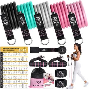 Resistance Bands with Handles for Women, 5 Level Exercise Bands Workout Bands for Physical Therapy, Yoga, Pilates, Door Anchor, Storage Pouch (10-100 LBS Colour)