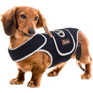 IVDD Dog Back Brace for Slipped and Herniated Discs - Back Brace for Dachshunds and Corgis, Ensuring Spinal Stability and Pain Relief S
