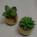 Briful Small Artificial Succulents in Pots Set of 3 Realistic Faux Succulents Plants with Gold Ceramic Pots Cute Mini Fake Plants Decor for Modern Home Table Office Desk Bathroom Shelf Decoration (Style #10)
