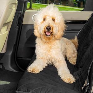 PetSafe Happy Ride Quilted Bench Seat Cover - Long-Lasting Waterproof Padded Backseat Protection with Secure Seatbelt Access - Keeps Leather Seats Clean & Protects from Scratches (Standard, Black)