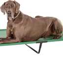 Amazon Basics Cooling Breathable Elevated Dog Bed with Durable Metal Frame for Large Dogs, X-Large, 60 x 37 x 9 Inch, Green, Easy to Clean