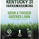 Scotts Kentucky 31 Grass Seed Mix for New Lawns or Overseeding - Lawn Grass Seed That Grows Thicker and Greener vs. Other Kentucky 31 Mixes, Covers up to 10,000 sq. ft. (40 lb)