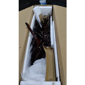 Clothing Hangers Dark Brown Wood Set of 50