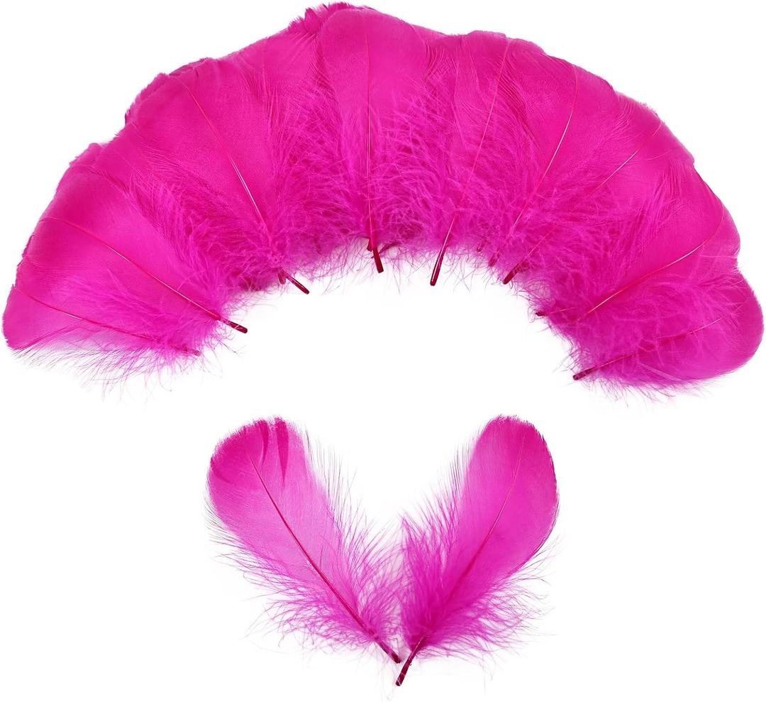 THARAHT 360pcs Hot Pink Feathers 3-5 inch Craft Feathers Assorted Rainbow Colors Feathers for Kids for DIY Handmade Wedding Home Party Decorations Natural Feather (Hot Pink)