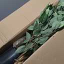 5FT Artificial Ficus Tree Realistic Faux Tree for Indoor & Outdoor, Fake Plant Tall Low-Maintenance Decor for Home Office Porch, Plantas Artificiales Decorativas, Housewarming Gift