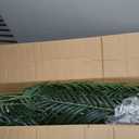8.5ft Artificial Golden Cane Palm Tree - Large Triple Fake Palm Tree in Pot for Indoor/Outdoor, Patio, Pool, Big House, Office, Backyard, Home Decor - Green, Extra Tall