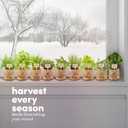 Planters' Choice 9 Herb Indoor Window Garden Kit - Mother's Day Gifts - House Plants Seeds - Best Unique Gift Ideas for Women, Mom, Friend, Her, Birthday, Housewarming, Mother - Live Plant Starter
