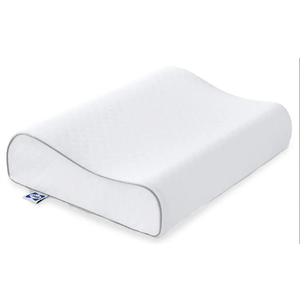 Sealy Contour Curve Pillow 20x15In