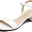 DREAM PAIRS Women's Low Heels for Women Classic Open Toe Ankle Strap Block Chunky Heel Sandals Holiday Party Wedding Dress Pumps Shoes