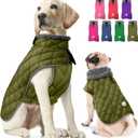 Fragralley Dog Winter Coat, Waterproof Windproof Reflective Fleece Jacket with Harness Hole, Warm Snow Vest Ideal Gifts (Olive) XL 
