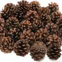 24 PCS Natural Pine Cones, 1.96 in Pinecone Ornaments, Rustic Pine Cones for Crafts, Winter Decorations for Home, Bulk Pines Cone with Gold String for Christmas Table Decor DIY Christmas Ornaments