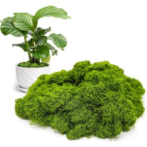 4 x Aspamms Fake Green Moss for Potted Plants Indoor, 5.3oz Artificial Moss for Crafts, Faux Moss Decor for Fairy Garden, DIY Decorative, Model Making, Walls, Glass Containers, Home