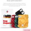 Pet Parents Washable Dog Diapers (3pack) + Extendrs of Durable Doggie Diapers, Premium Dog Diapers Female (Large, Samba)