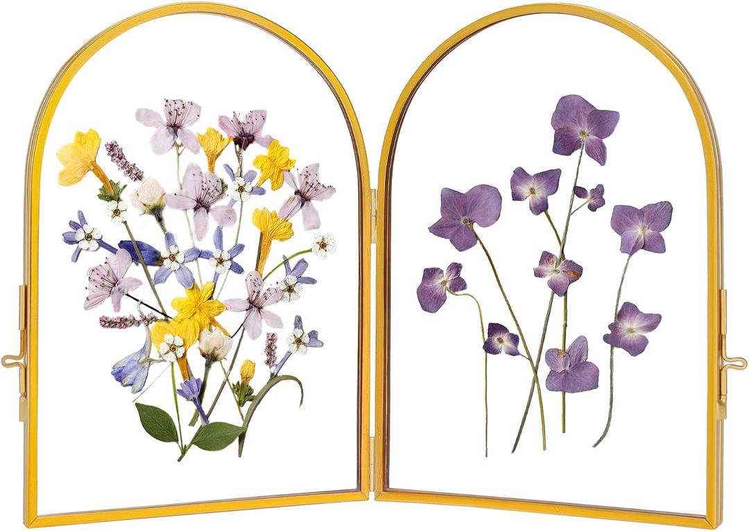 REDHUGO Double Glass Frame for Pressed Flowers Handmade, Pressed Flower Frame, Hinged Tabletop Brass Photo Frames, Dried Flower Display Folding Picture Frame for Home, ArcShaped, Gold, 57 Inches