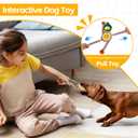 2 x Squeaky Dog Toys, Interactive Plush Duck Chew Toy for Pets - Safe & Durable,Slow Feeder Dog Bowl,Ideal for Puppies & Small to Medium Dogs