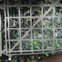 ODTORY Artificial Ivy Privacy Fence Wall Screen,40X120 in(33.5 sqft) UV-Anti Faux Boxwood Roll Panels Greenery Backdrop Ivy Vine Leaf Hedges Fence Panels for Indoor Outdoor Green Wall Decor