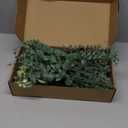 120 Pcs 4 Kinds Mixed Eucalyptus Greenery Stems, Baby Breath Flowers Artificial Bulk and Greenery Stems for DIY Bouquets Wedding Home Floral Decor