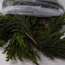 6FT Christmas Artificial Norfolk Pine Garland for Fireplace - Realistic Faux Greenery Fake Garland for Holiday,Table, Window,Mantel,Stairs, Home,Indoor Outdoor Decor (2PCS)