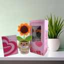 Sunflower Crochet Doll - Thank You Gift Appreciation Gift For Teacher Coworker Leader Paraprofessional Coach Employee Men Women - Thank You For Being Important Part Of My Story Birthday Present