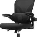Bigzzia Ergonomic Office Chair with Lumbar Support - High Back Desk Chair, Oversized