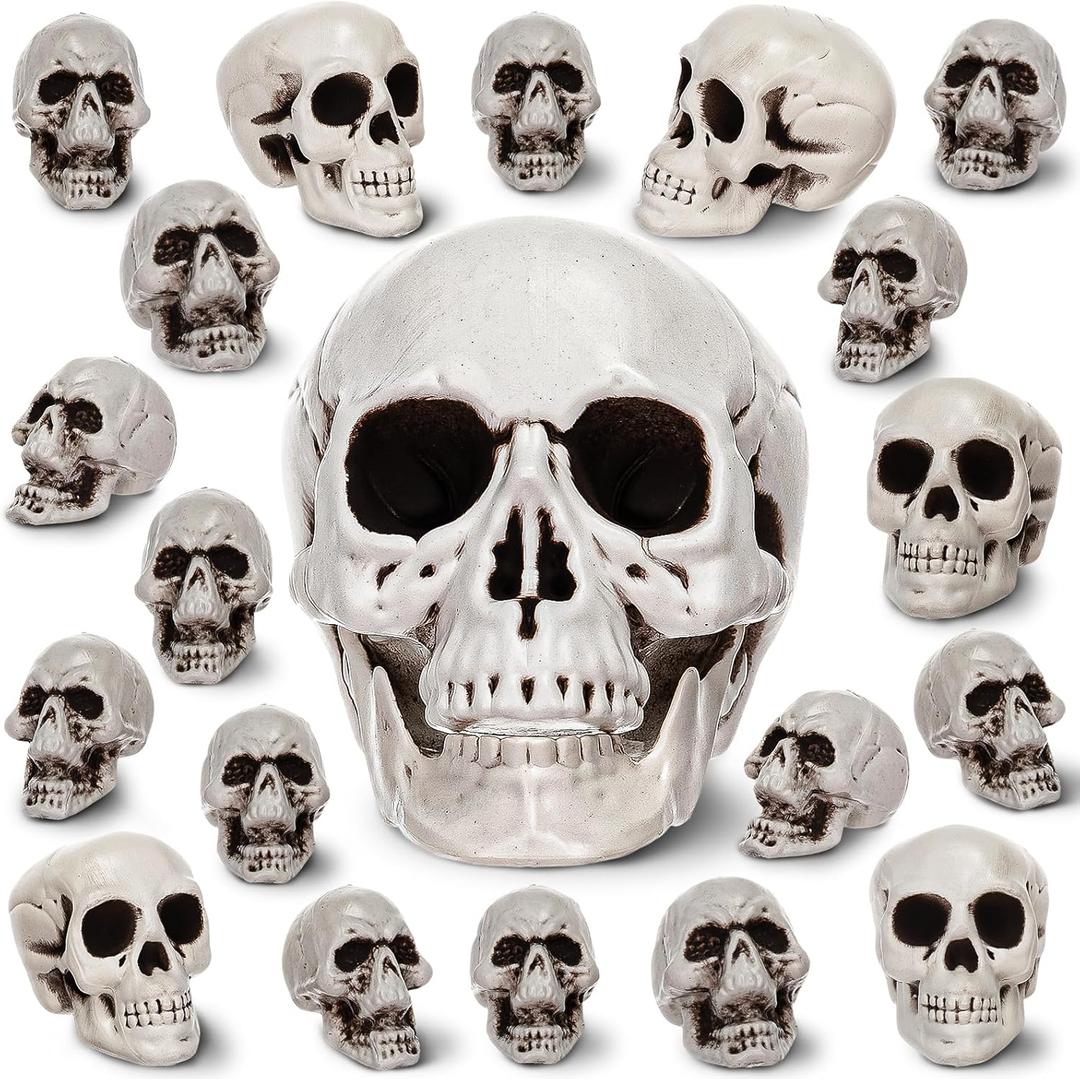 Aoriher 20 Pieces Halloween Skull Plastic Realistic Looking Skeleton Skull Human Skeleton Head Fake Decor Miniatures for Crafts Halloween Decorations for Home Table Bar Decor, 3 Sizes(Large) Aoriher 20 Pieces Halloween Skull Plastic Realistic Looking Skeleton Skull Human Skeleton Head Fake Decor Miniatures for Crafts Halloween Decorations for Home Table Bar Decor, 3 Sizes(Large)