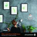 Sylvania B10 Clear LED White Filament Bulb, 3.5W, Dimmable, 350 LMS, Medium Base, 2700K, Soft White - 4 Pack (42258)