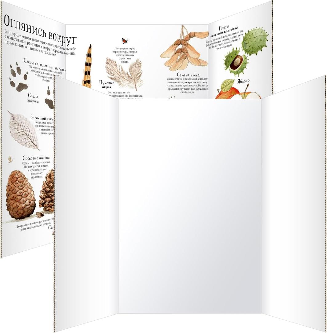 Trifold Poster Board 36"x48", 2 Pack White Extra Large Corrugated Display Board Foldable Board for School Projects, Science Fair, Business Presentations, Photo Displays, Graduation Exhibitions