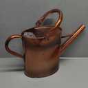 1 Gallon Metal Watering Can with Removable Spout, Nice Galvanized Steel Water Can with Embossed Design for Indoor and Outdoor Plants (Bronze)