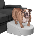 Pet Gear Stramp Stair and Ramp Combination for Dogs/Cats, Easy Step, Lightweight/Portable, Sturdy, Easy Assembly (No Tools Required), Fog