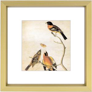 3x3 Picture Frame, Brass Metal Square Photo Frames with HD Glass, Fits 2x2 with Mat or 3 x 3 without Mat, Display for Wall and Table, 1 Pack