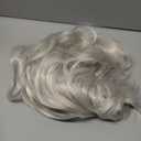 Mens White Wigs Short Fluffy Wave Synthetic Halloween Cosplay Hair Anime Costume Party Wig for Males (Silver Gray)