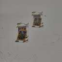Pokemon TCG: Sword & Shield Darkness Ablaze Blister Pack (Random) 2 Pack