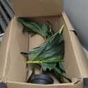 VIAGDO Dracaena Silk Plant Artificial 4ft Faux House Plants Evergreen Dracaena Marginata Fake Yucca Palm Trees in Pot Realistic Dragon Tree for Living Room Home Office Decor Indoor Outdoor