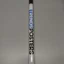 Trends International Marvel Black Panther: Wakanda Forever - Teaser One Sheet Wall Poster, 14.725" x 22.375", Premium Unframed Version