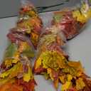 wohohoho 2 Packs Fall Garland Maple Leaf, 5.9Ft/Pieces Fall Leaves Garland 7 Maple Leaves Hanging Vines for Autumn Decor Halloween Thanksgiving Christmas Indoor Outdoor Decorations (Orange)