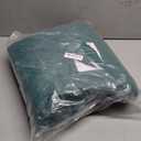 Merelax Soft Modern Indoor Shaggy Area Rug for Bedroom Livingroom Dorm Kids Room Home Decorative, Non-Slip Plush Fluffy Furry Fur Rugs Comfy Nursery Accent Floor Carpet 2x3 Feet, Christmas Green