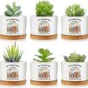 Havawish 6 Pcs Occupational Therapy Gifts for Therapist, Ot Month Ceramic Succulent Planter Pots Mini Porcelain Plant Containers Funny Occupational Therapy Gift for Women Men, Plants Excluded