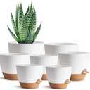 self watering planters