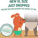 PAWPANG Disposable Dog Diaper Liners Booster Pads for Male & Female Dogs, 100ct, Doggie Diaper Inserts fit Most Types of Dog Diapers - Pet Belly Bands & Male Wraps (Large(100ct))