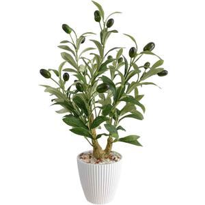 Artificial Olive Tree 18" Tall Small Faux Fake Potted Plant Medium Olive Branches and Fruits Realistic Mini Tree for Tabletop Home Office Living Room Decor Indoor (Olive)